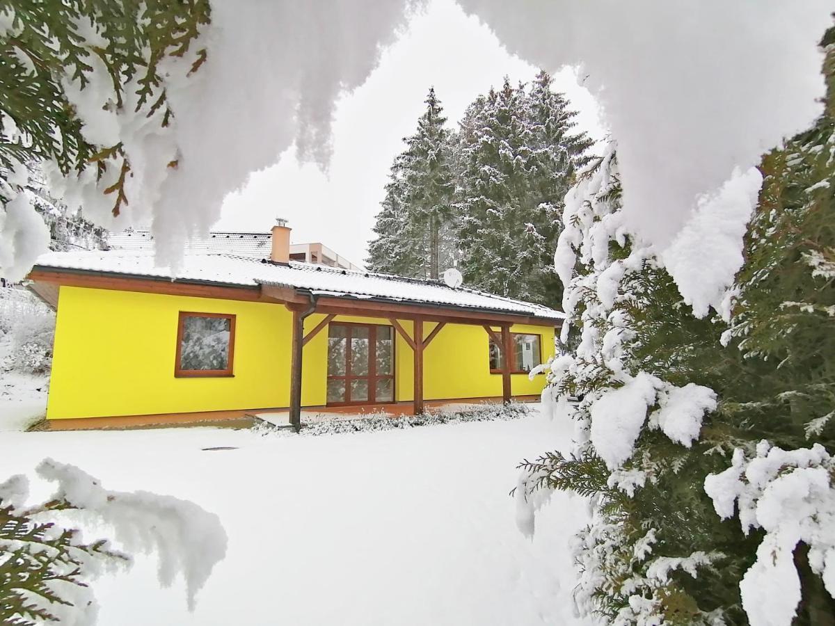 Sunny House Villa Lipno nad Vltavou Buitenkant foto