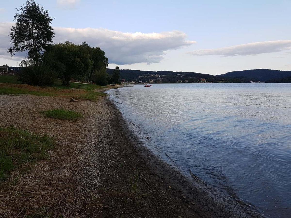 Sunny House Villa Lipno nad Vltavou Buitenkant foto